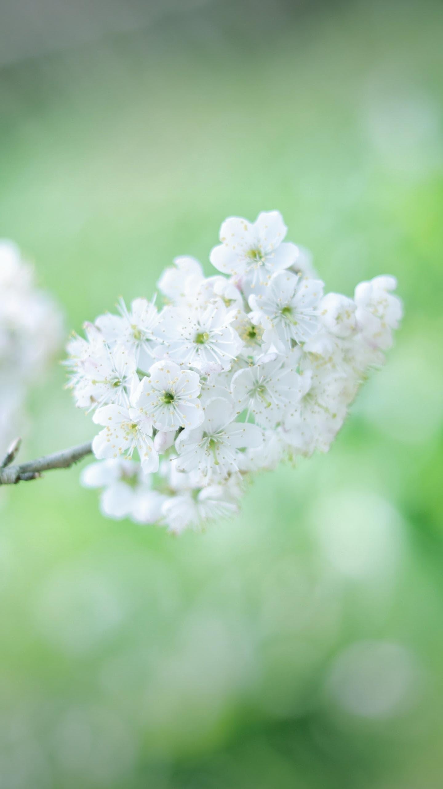 足球回看欧洲杯,足球集训归来
