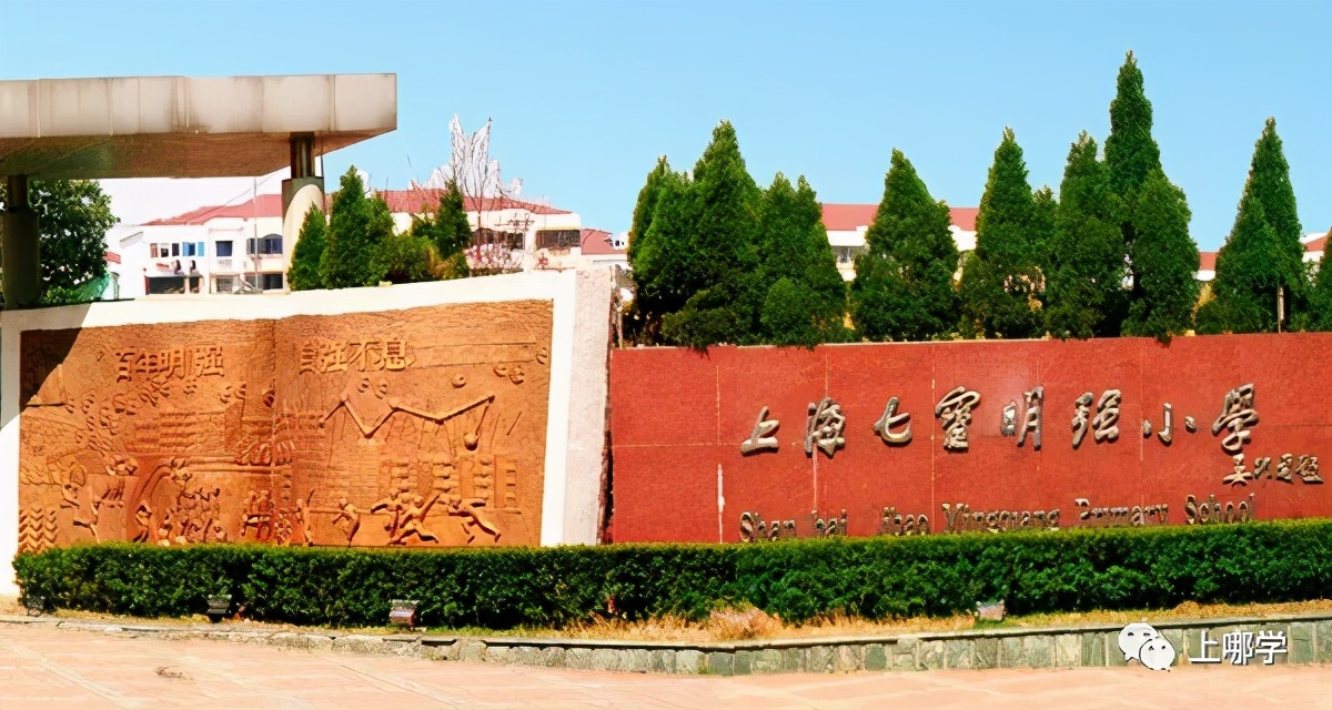 上海73所排名前50学校名单,上海最好16所学校排名