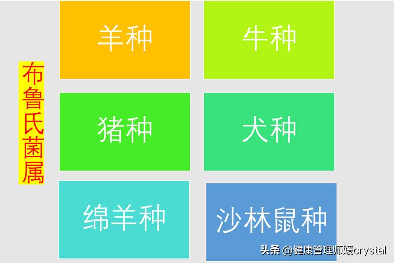孩子会不会得布鲁氏杆菌病？爸爸妈妈需要注意2点，做好预防