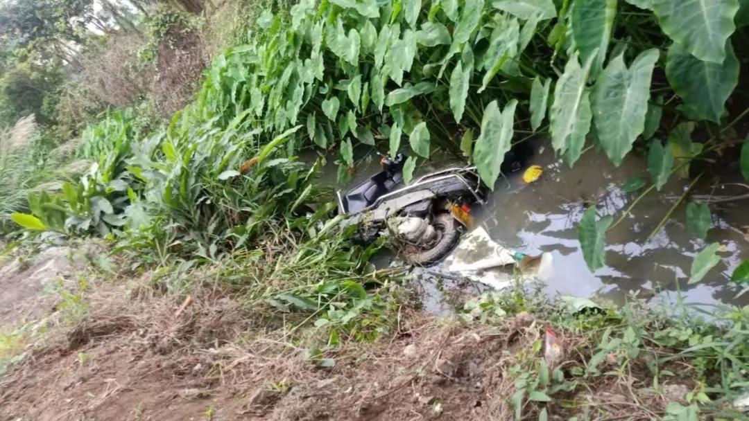 往前开，往鱼塘开！8年驾龄老司机的“翻车”过程