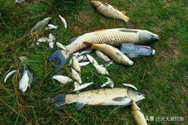 夏季大风天钓鱼的三个技巧,大风天无漂钓鱼