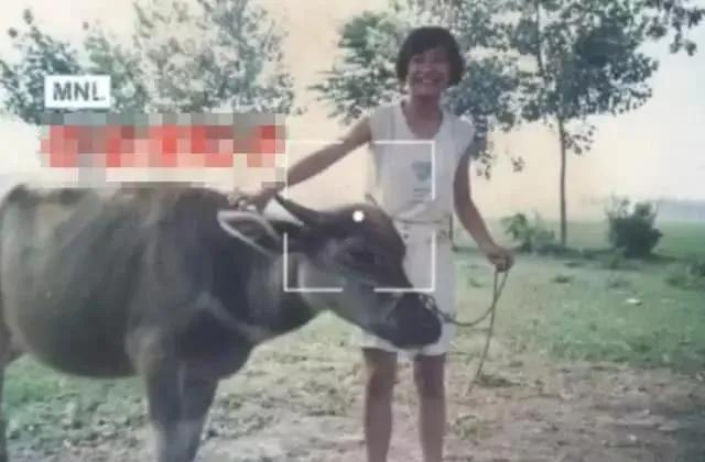 贾玲为什么胖40斤,41岁的贾玲宣布成功减重100斤