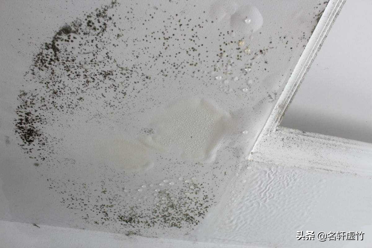 天花板发霉发潮掉墙皮该怎么处理,天花板发霉空鼓起皮什么原因