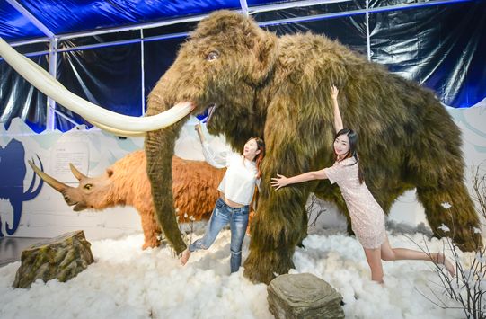 乐高灯光秀,搭乐高表演