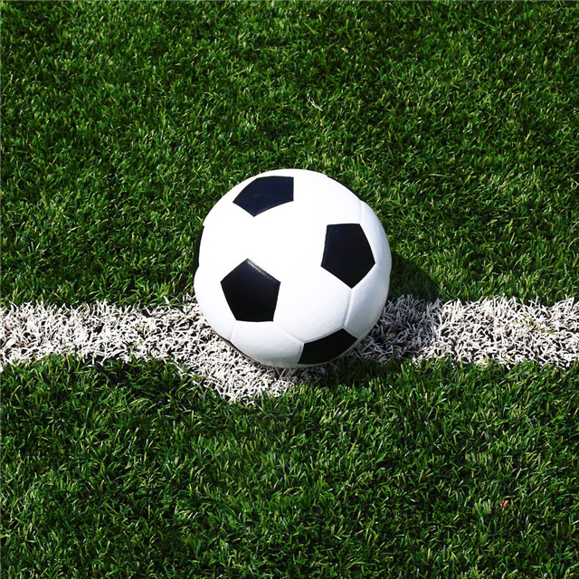 世界杯背后的故事,世界杯中的故事