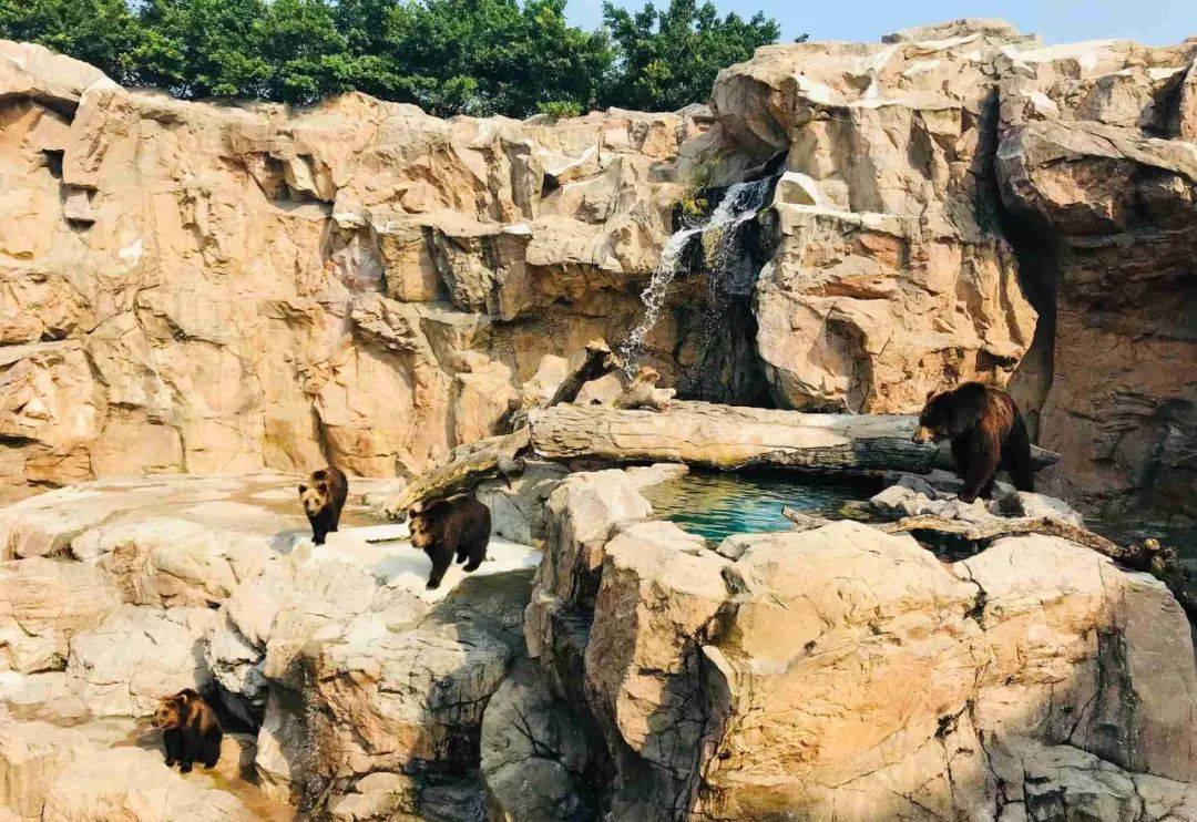 珠海长隆海洋王国附近住宿攻略,珠海长隆海洋王国三人住两天一夜