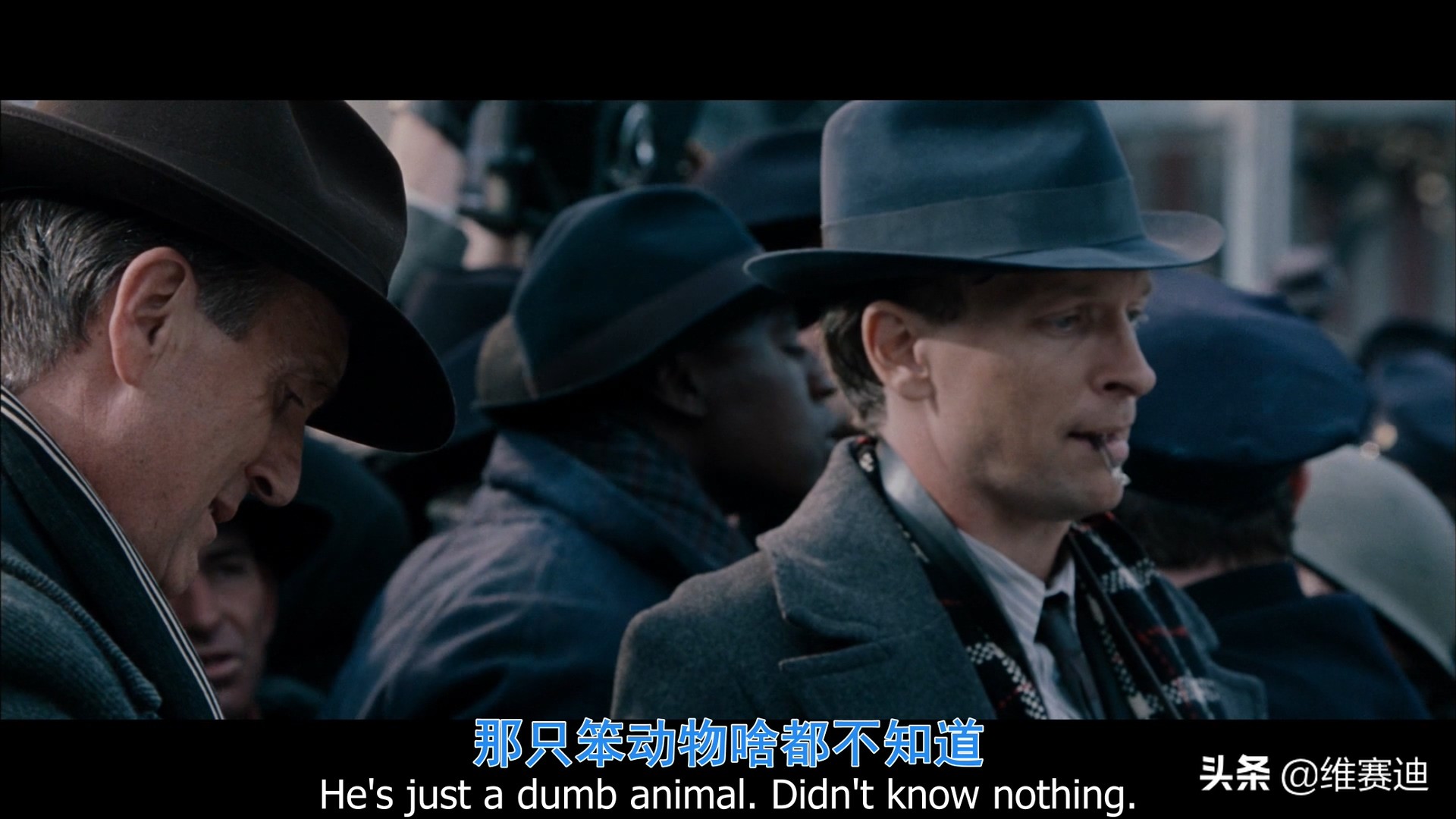 金刚电影各种怪兽排名,金刚骷髅岛大战怪兽电影