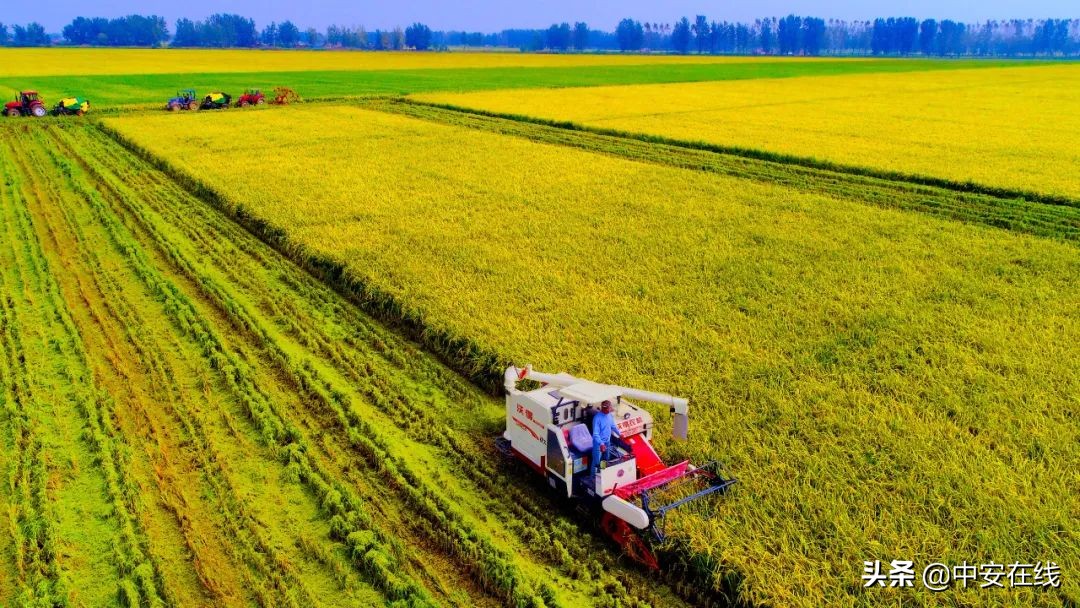 一鸣惊人宣城,一鸣惊人的最佳方法