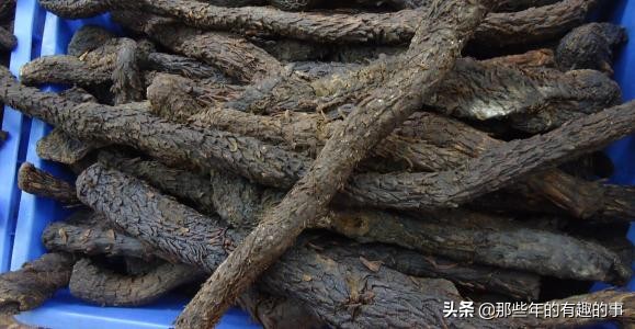 肉苁蓉怎么区分，爆些内幕吧，个人或采购看一下，男女都可食用的