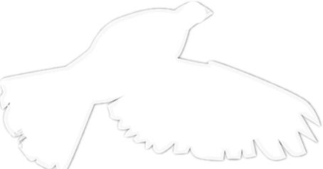 五星红旗我为你自豪原唱歌手,五星红旗我为你自豪升旗献词