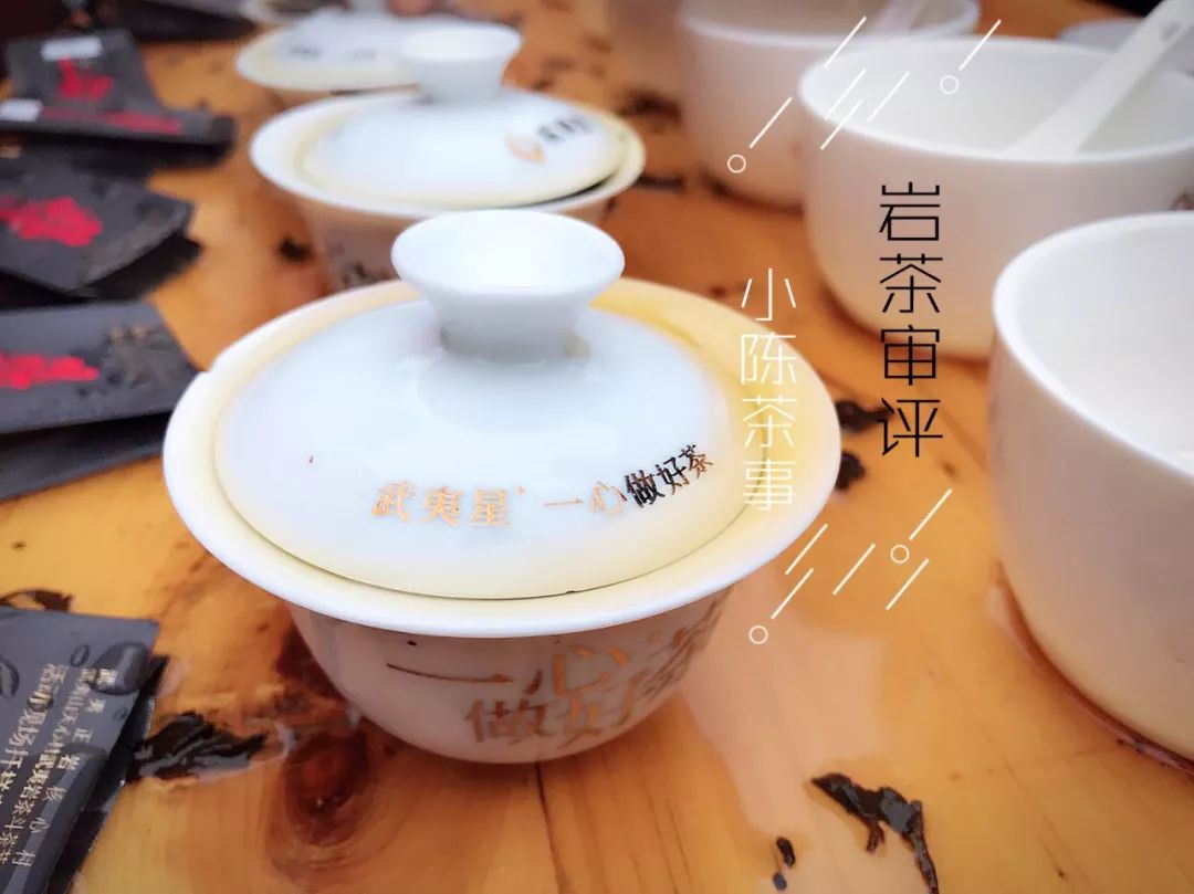 泡茶品茶鉴茶,品茶鉴茶的方法