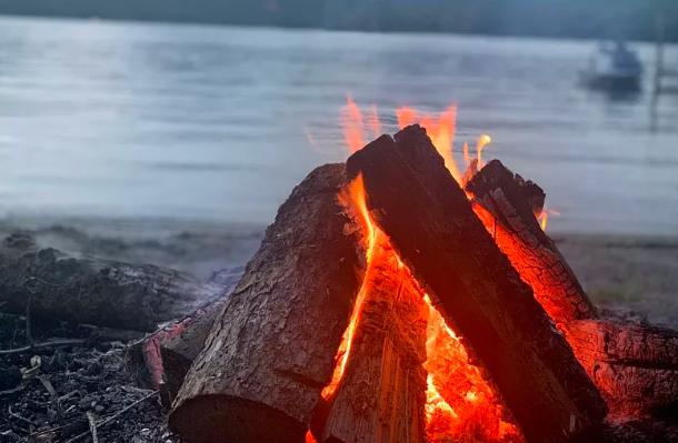 雄黄粉和雄黄驱蛇粉是一样的吗,原来蛇不怕雄黄而是这几样东西