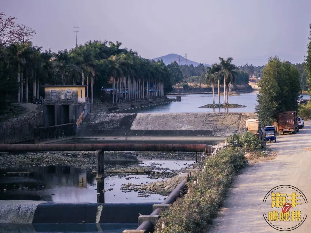 海丰龙津河畔,海丰县莲花山中学视频