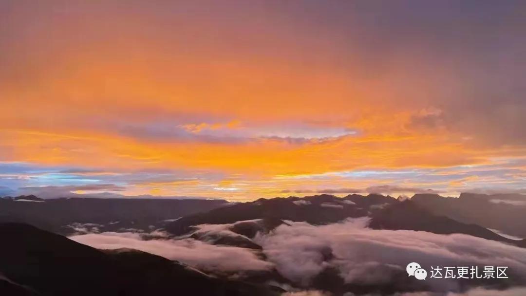 「达瓦更扎、神木垒」桃李花开感谢恩师，老师专属福利速领取