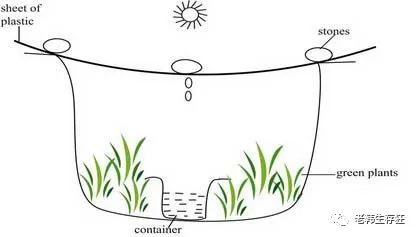 沙漠求生取水技巧,生存狂逃生技巧