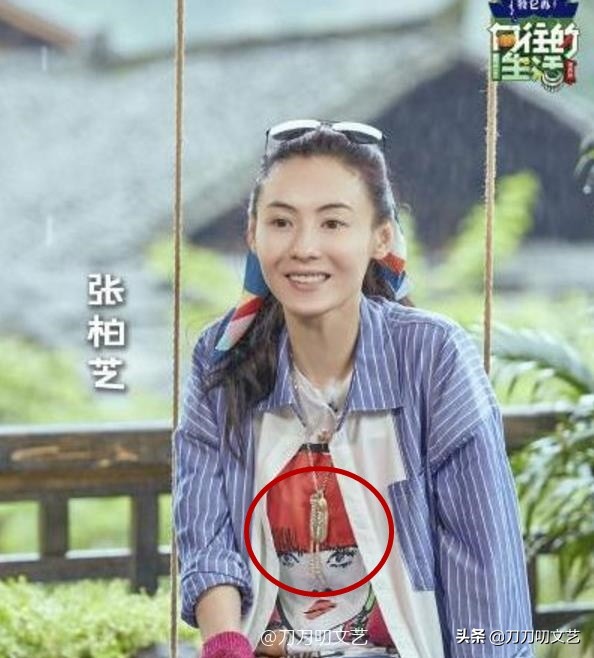 张柏芝送礼物,陈飞宇张柏芝综艺视频