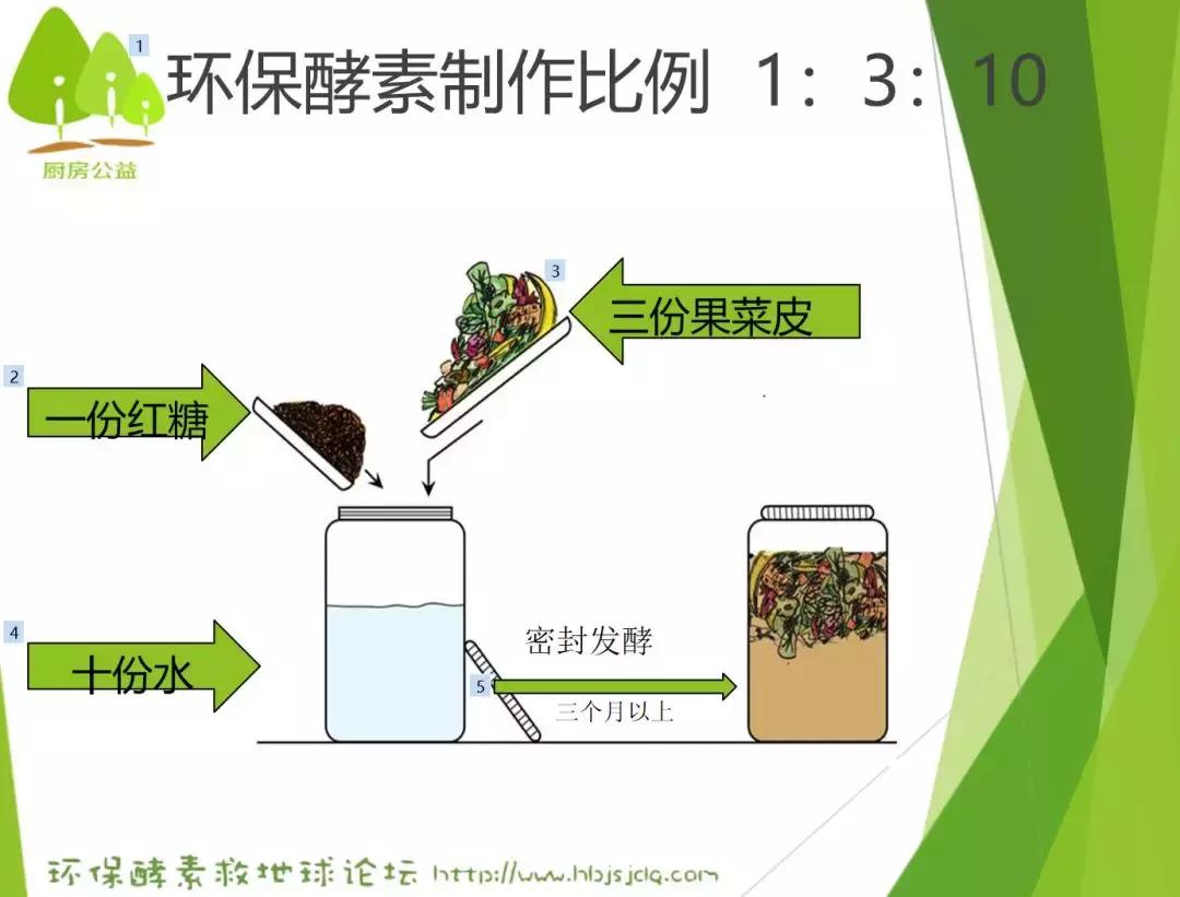 南通有位达人,7年来,果皮菜叶从未丢出门