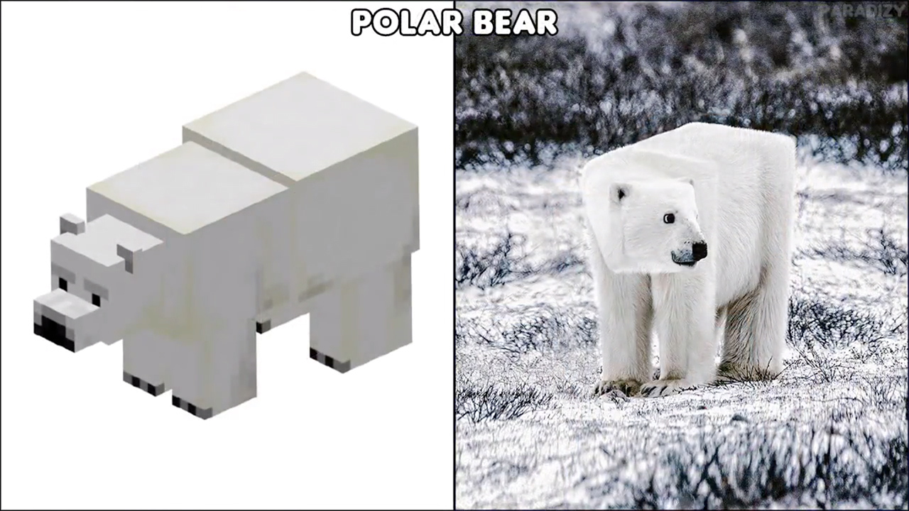 我的世界真人版合集新出的,我的世界现实版史蒂夫