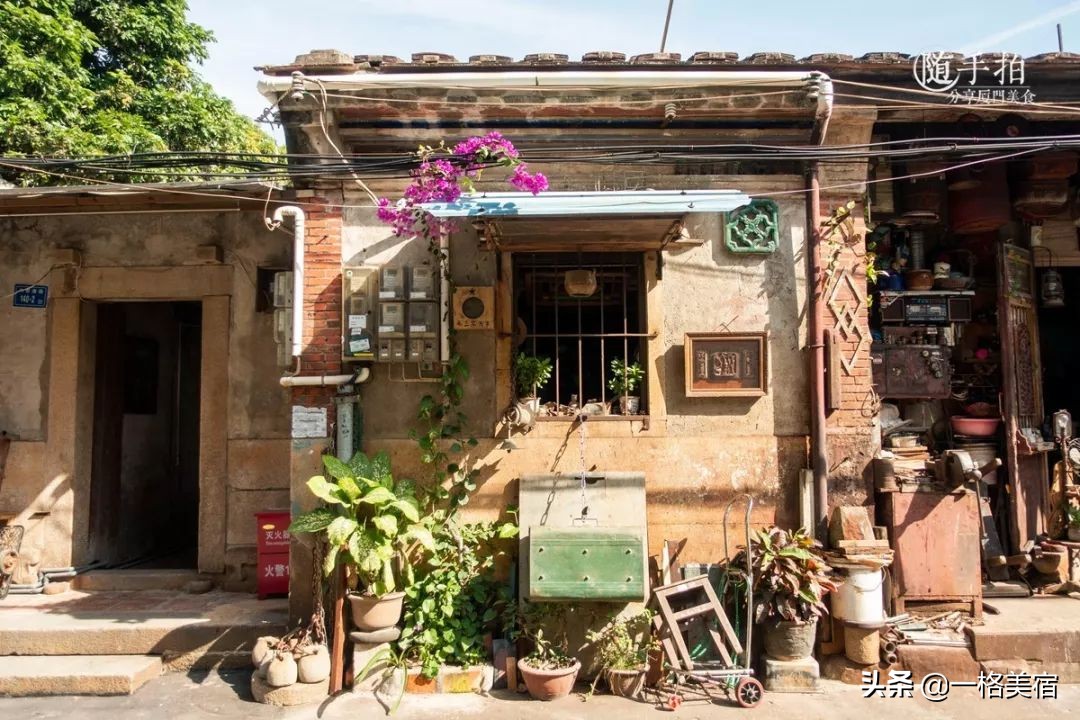 鼓浪屿吃喝,鼓浪屿在哪吃不被坑