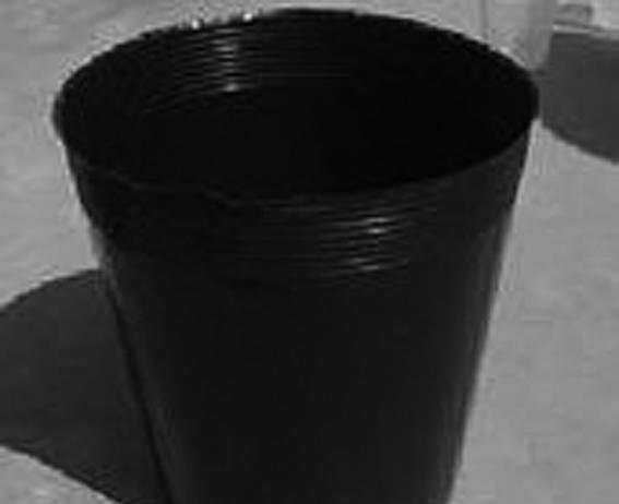 葡萄扦插育苗的方法,葡萄扦插育苗技术视频