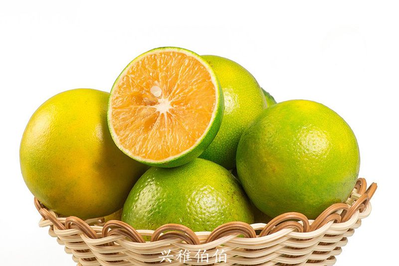 海南哪里适合养老定居,海南哪个市最值得旅游居住