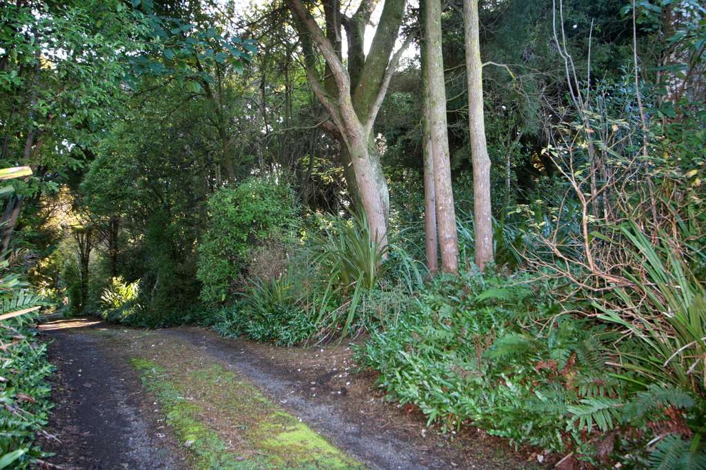 100万人民币在新西兰能买多大房子,100元能在新西兰买些什么