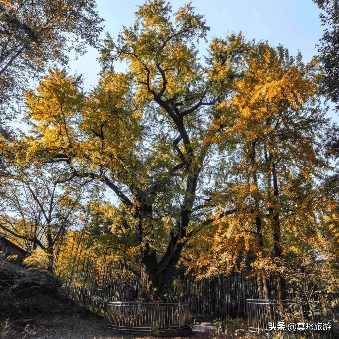 南京怪坡风景区,江宁怪坡风景区