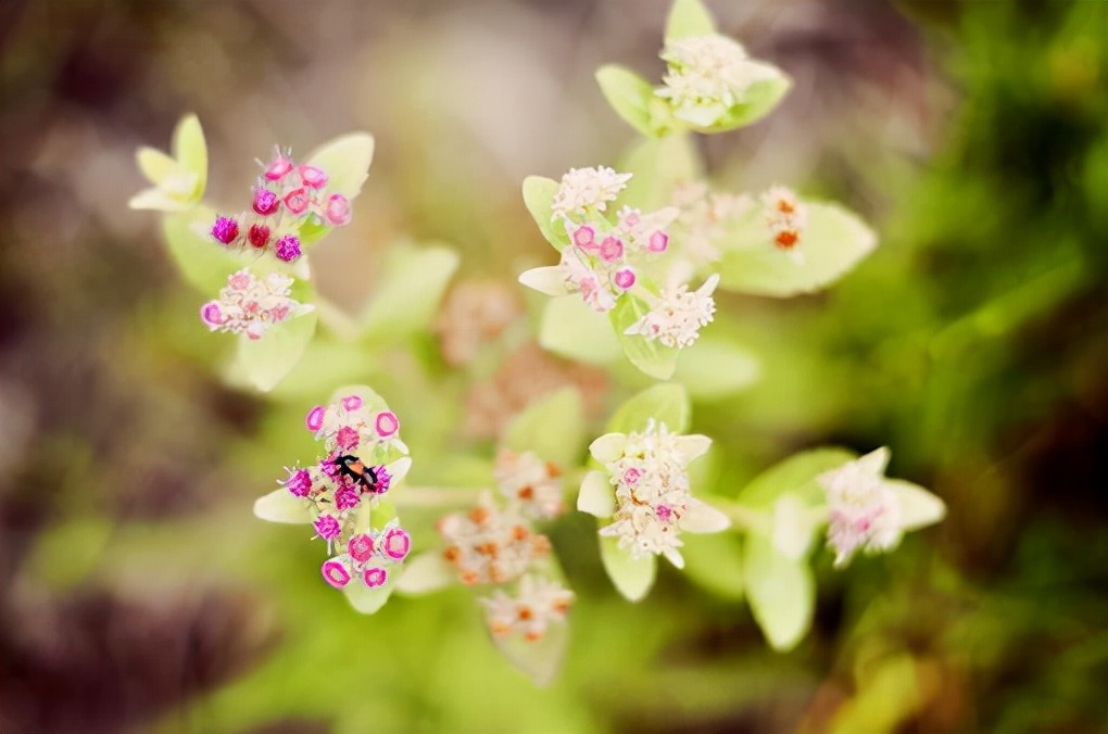 男人出轨冷落自己该怎么应对呢,当男人冷落你时最好的回击方式