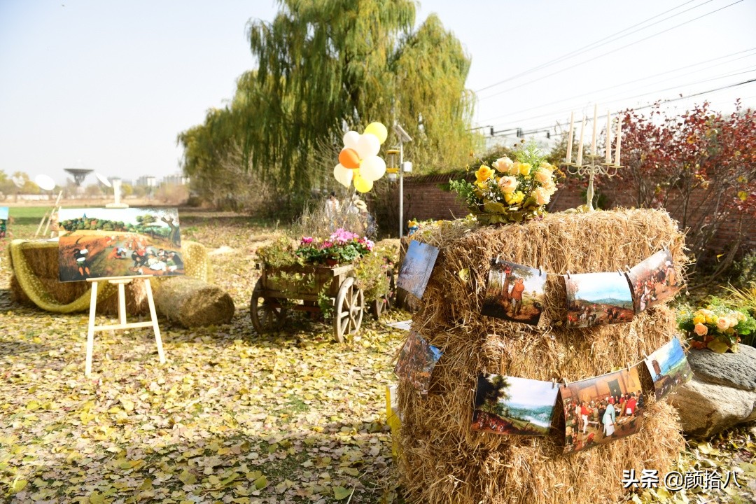 没有比利时花园游，来点比利时啤酒吧|随笔