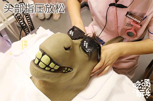 鑺辩摚缇庡鎶よ偆,鑺辩摚鎶よ偆