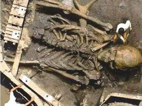 证明巨人存在的10个真实证据,远古巨人真的存在吗