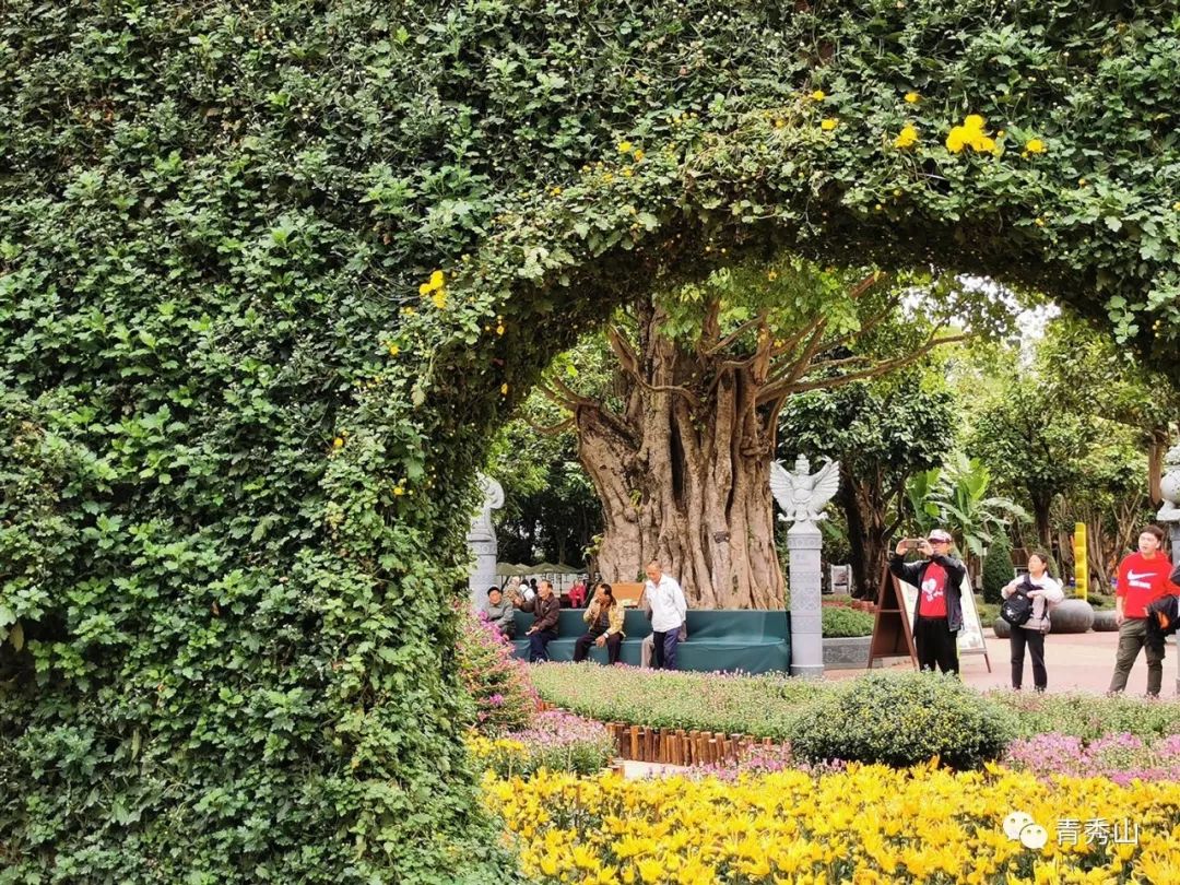 自拍达人全景,南宁自拍拍照博主