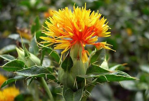 古人怎么化妆护肤的,古人如何化妆视频