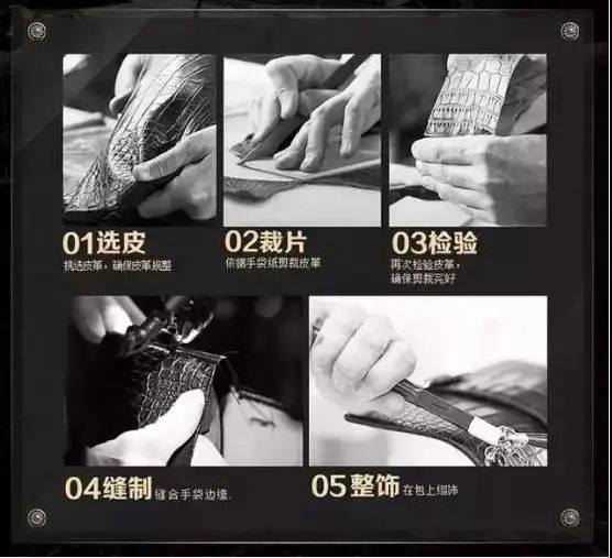 鳄鱼科普知识,鳄鱼皮常识