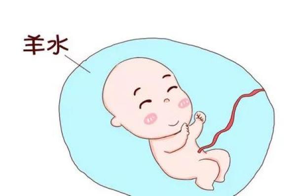 39周胎位不正能转过来吗,胎位不正怎么转胎位图解