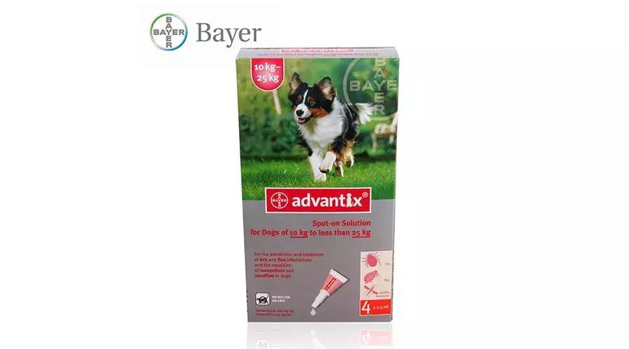 狗狗各种寄生虫的症状,狗狗常见的寄生虫