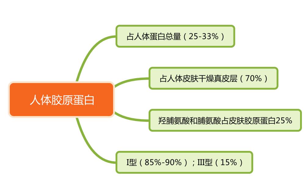 青颜博士胶原蛋白肽是智商税吗,擦脸的三型胶原蛋白是智商税吗