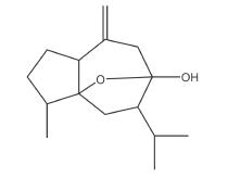 背它！考前必看82个易错考点