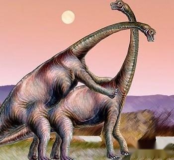 您知道恐龙是以什么方式繁殖的吗,不同种类恐龙的生活习性