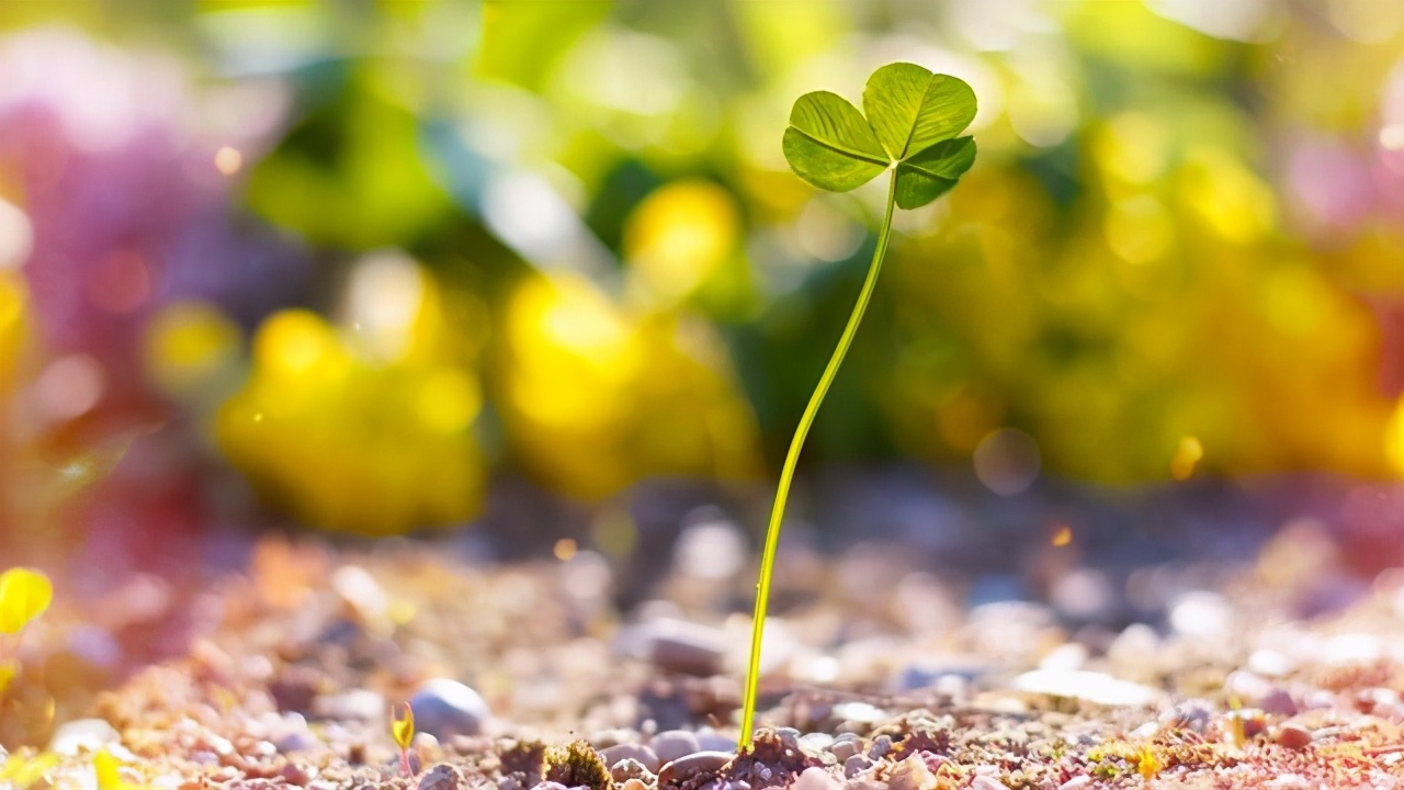 幸福的女人懂得知足常乐,幸福的女人懂得爱自己