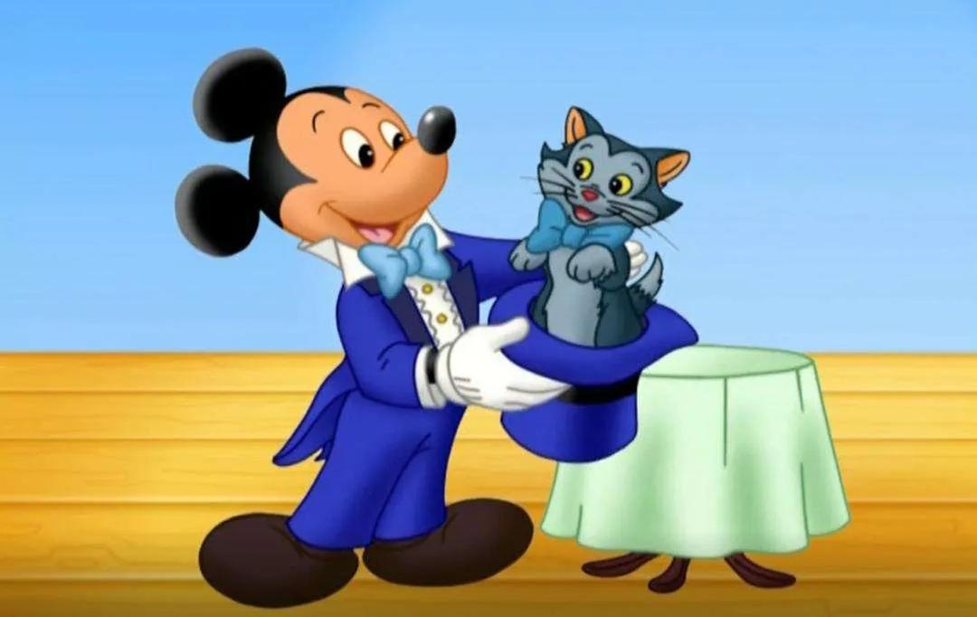 如何从自然拼读到自主阅读,如何陪零基础孩子学习自然拼读