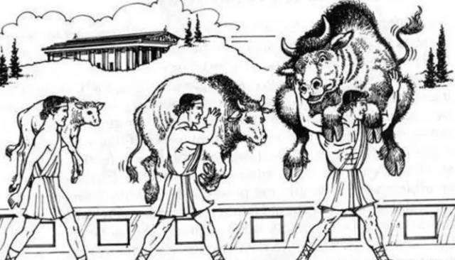 女生哑铃力量训练一周计划,健身房新手力量训练计划