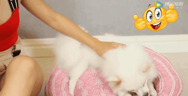 有趣才是女人最高级的魅力,有趣的女人高级感