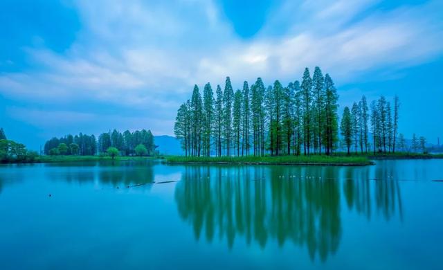 高分突破语文七至九年级早读材料,语文阅读提升训练书籍