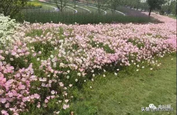 金坛适合一个人安静的地方,金坛的一个小镇