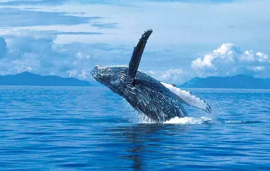 为什么到冲绳的机票这么贵呢,直飞冲绳特价航班