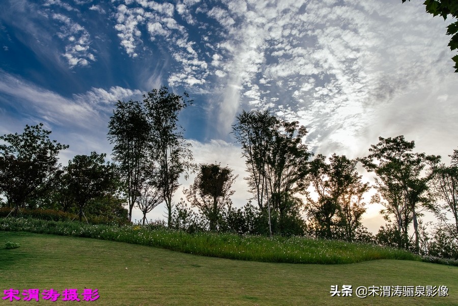 健身休闲绿道,临渭区渭河南堤渭河生态运动公园