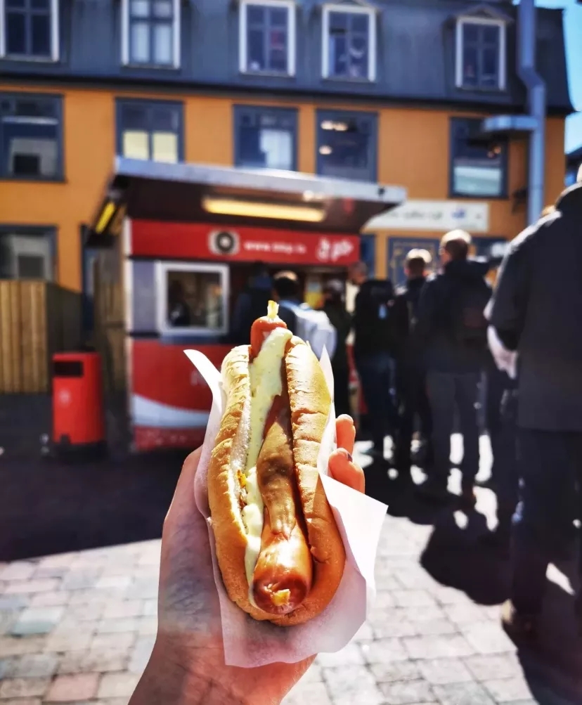 冰岛的特色美食有哪些,冰岛奇异美食