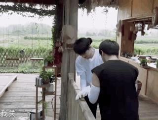 向往的生活任嘉伦谭松韵许魏洲,向往的生活任嘉伦掉河里了