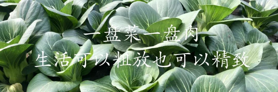 高原有机上海青,有机上海青怎么做